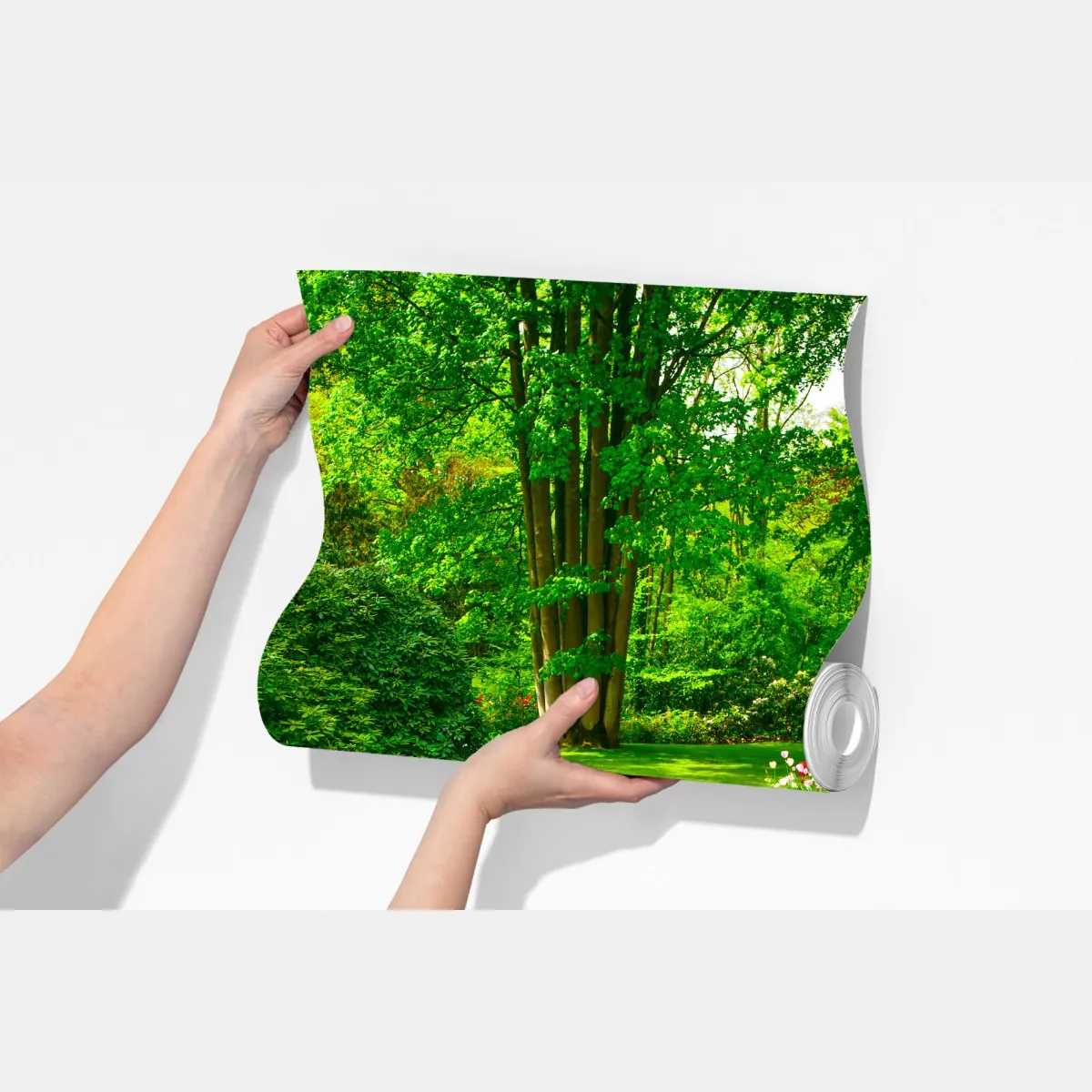 Fototapeta żywy ogród tulipanów w Keukenhof – Wallissimo® Fototapeta żywy ogród tulipanów w Keukenhof – Wallissimo®