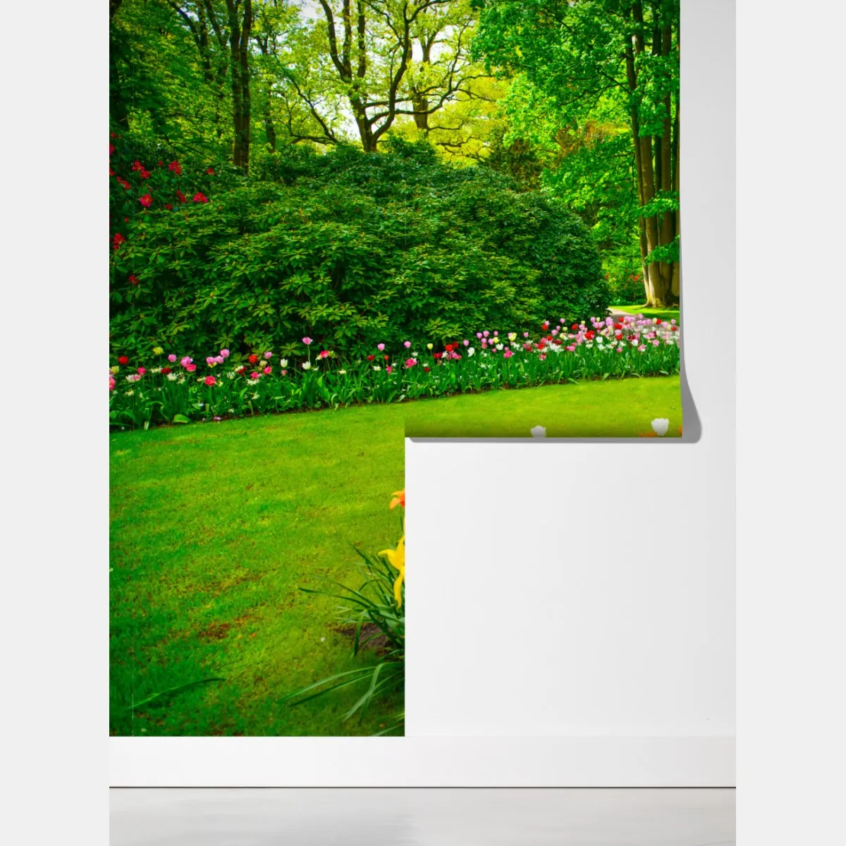 Fototapeta żywy ogród tulipanów w Keukenhof – Wallissimo® Fototapeta żywy ogród tulipanów w Keukenhof – Wallissimo®