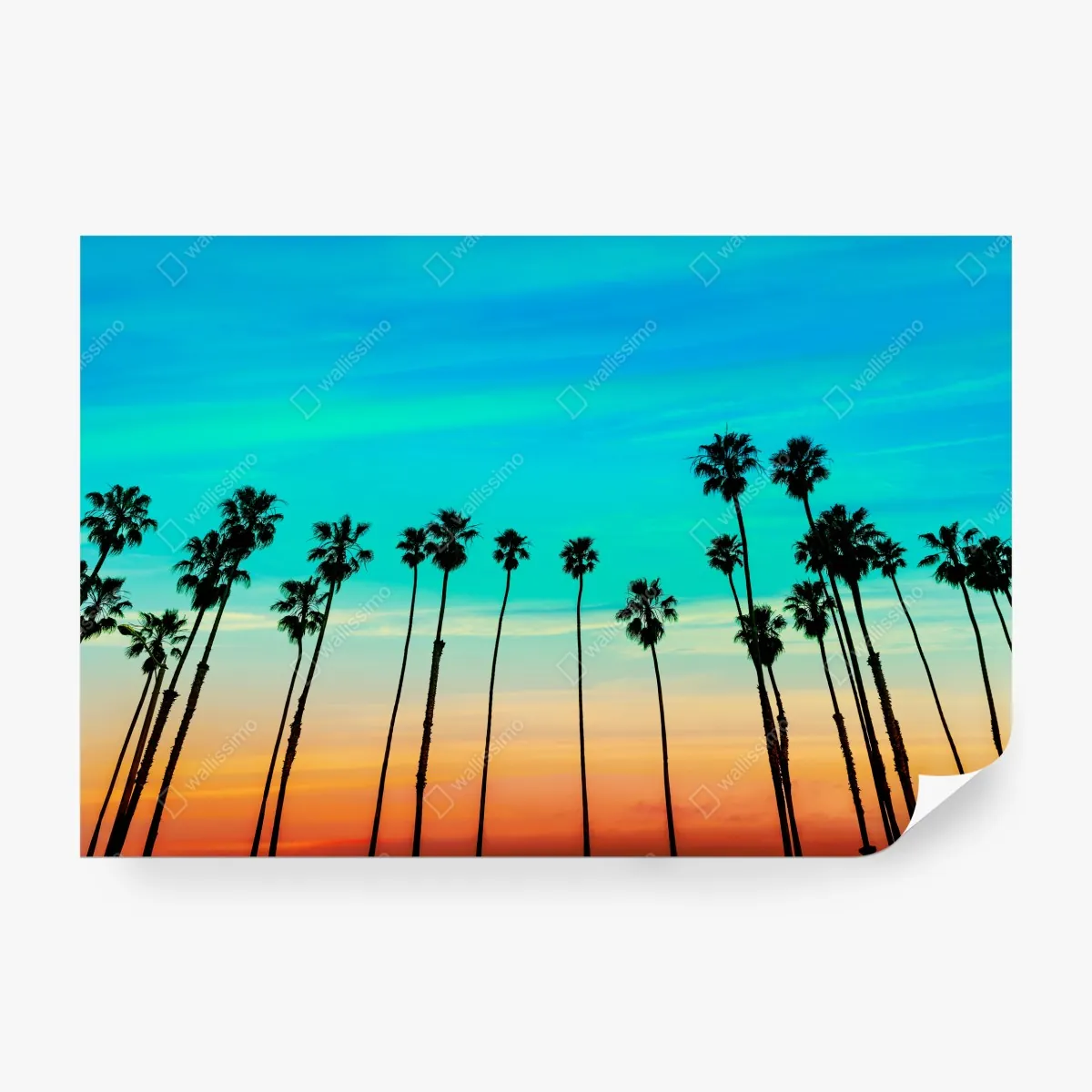 Fototapeta palmy o zachodzie słońca w Kalifornii – Wallissimo® Fototapeta palmy o zachodzie słońca w Kalifornii – Wallissimo®