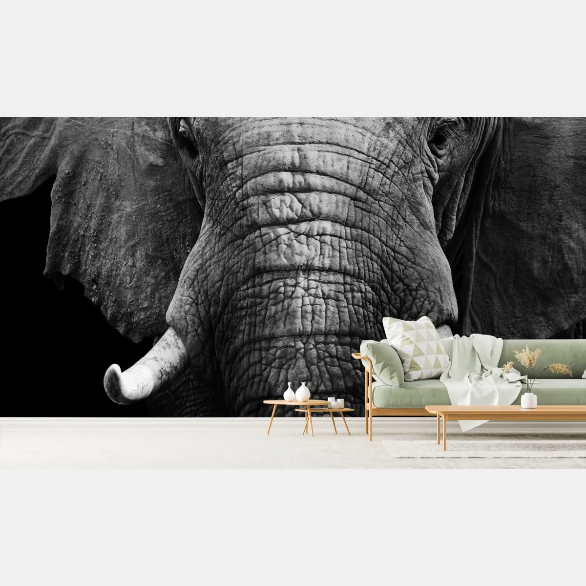 Fototapeta majestatyczne zbliżenie słonia – Wallissimo® Fototapeta majestatyczne zbliżenie słonia – Wallissimo®