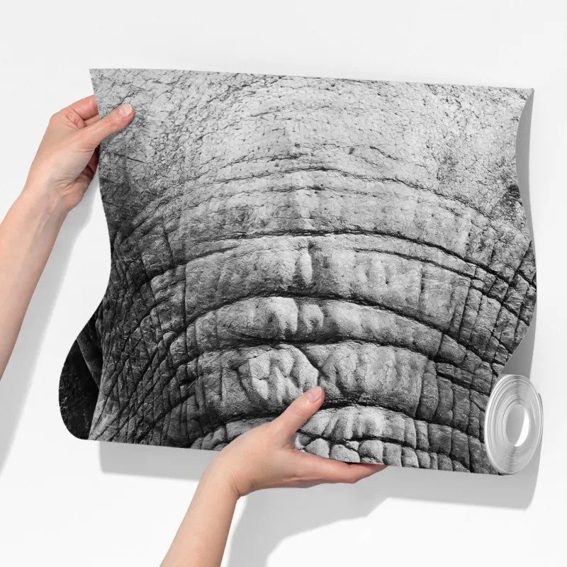 Fototapeta majestatyczne zbliżenie słonia – Wallissimo® Fototapeta majestatyczne zbliżenie słonia – Wallissimo®