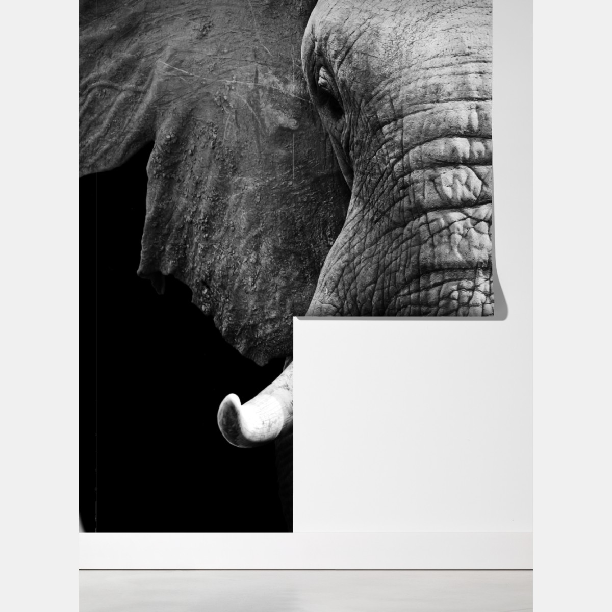 Fototapeta majestatyczne zbliżenie słonia – Wallissimo® Fototapeta majestatyczne zbliżenie słonia – Wallissimo®