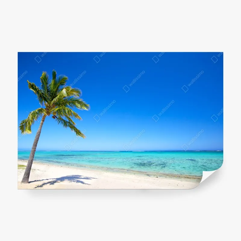 Fototapeta panorama Lac Blanc i Mont Blanc – Wallissimo®