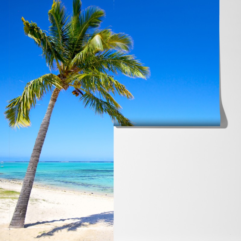 Fototapeta tropikalna plaża z palmą – Wallissimo® Fototapeta tropikalna plaża z palmą – Wallissimo®