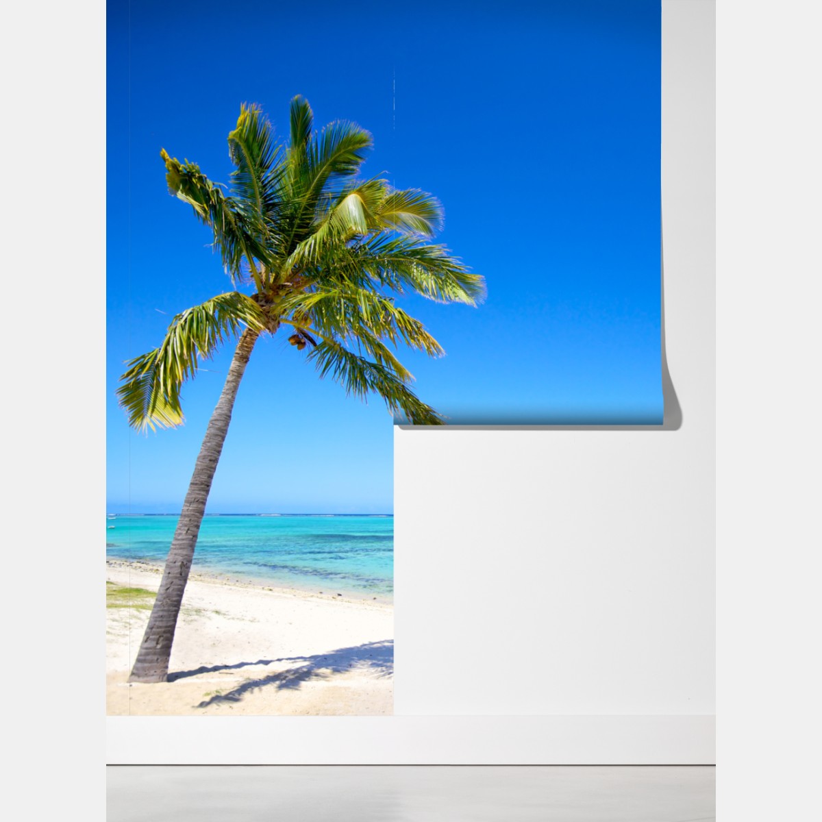 Fototapeta tropikalna plaża z palmą – Wallissimo® Fototapeta tropikalna plaża z palmą – Wallissimo®