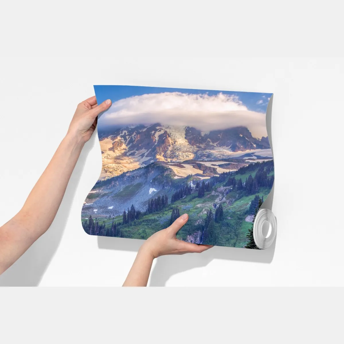 Fototapeta alpejska łąka pełna kwiatów u stóp ośnieżonych szczytów – Wallissimo® Fototapeta alpejska łąka pełna kwiatów u stóp ośnieżonych szczytów – Wallissimo®