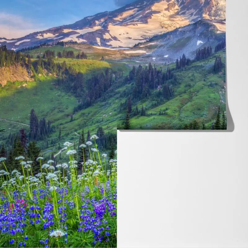 Fototapeta alpejska łąka pełna kwiatów u stóp ośnieżonych szczytów – Wallissimo® Fototapeta alpejska łąka pełna kwiatów u stóp ośnieżonych szczytów – Wallissimo®