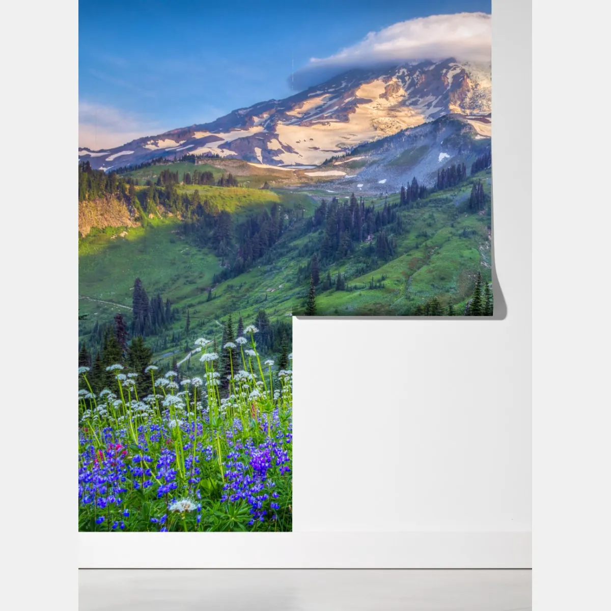 Fototapeta alpejska łąka pełna kwiatów u stóp ośnieżonych szczytów – Wallissimo® Fototapeta alpejska łąka pełna kwiatów u stóp ośnieżonych szczytów – Wallissimo®