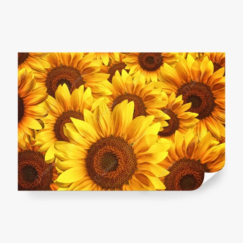 Fototapeta słoneczna zatoka śródziemnomorska z turkusową wodą – Wallissimo®