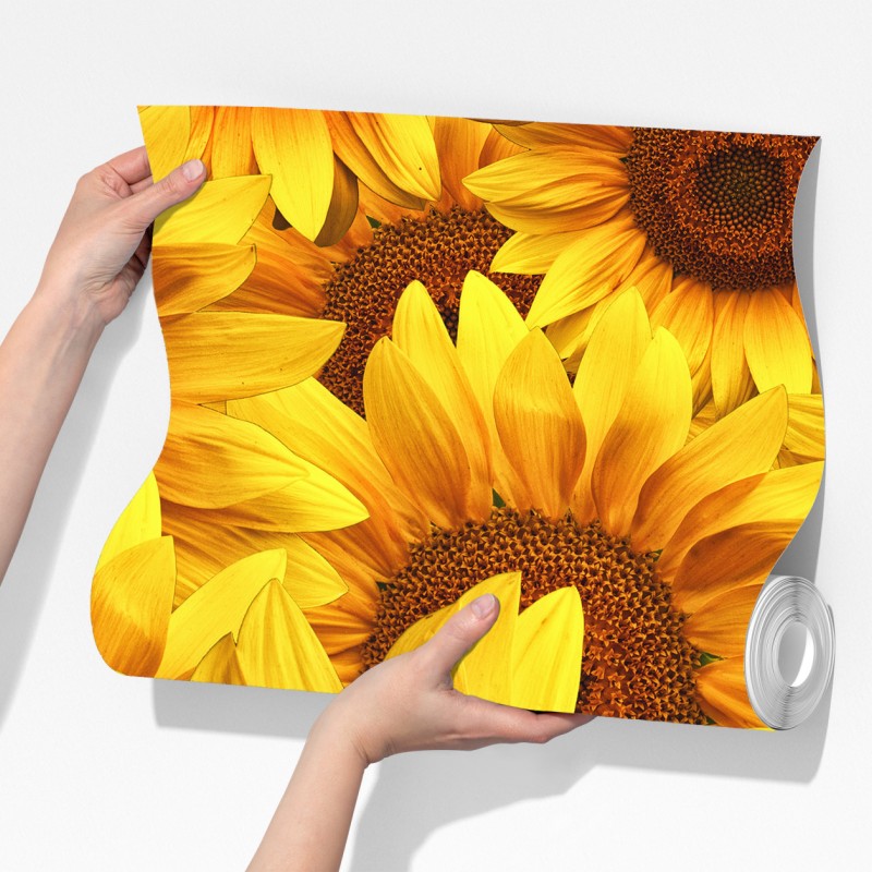 Fototapeta złoty kwiat słonecznika – Wallissimo® Fototapeta złoty kwiat słonecznika – Wallissimo®