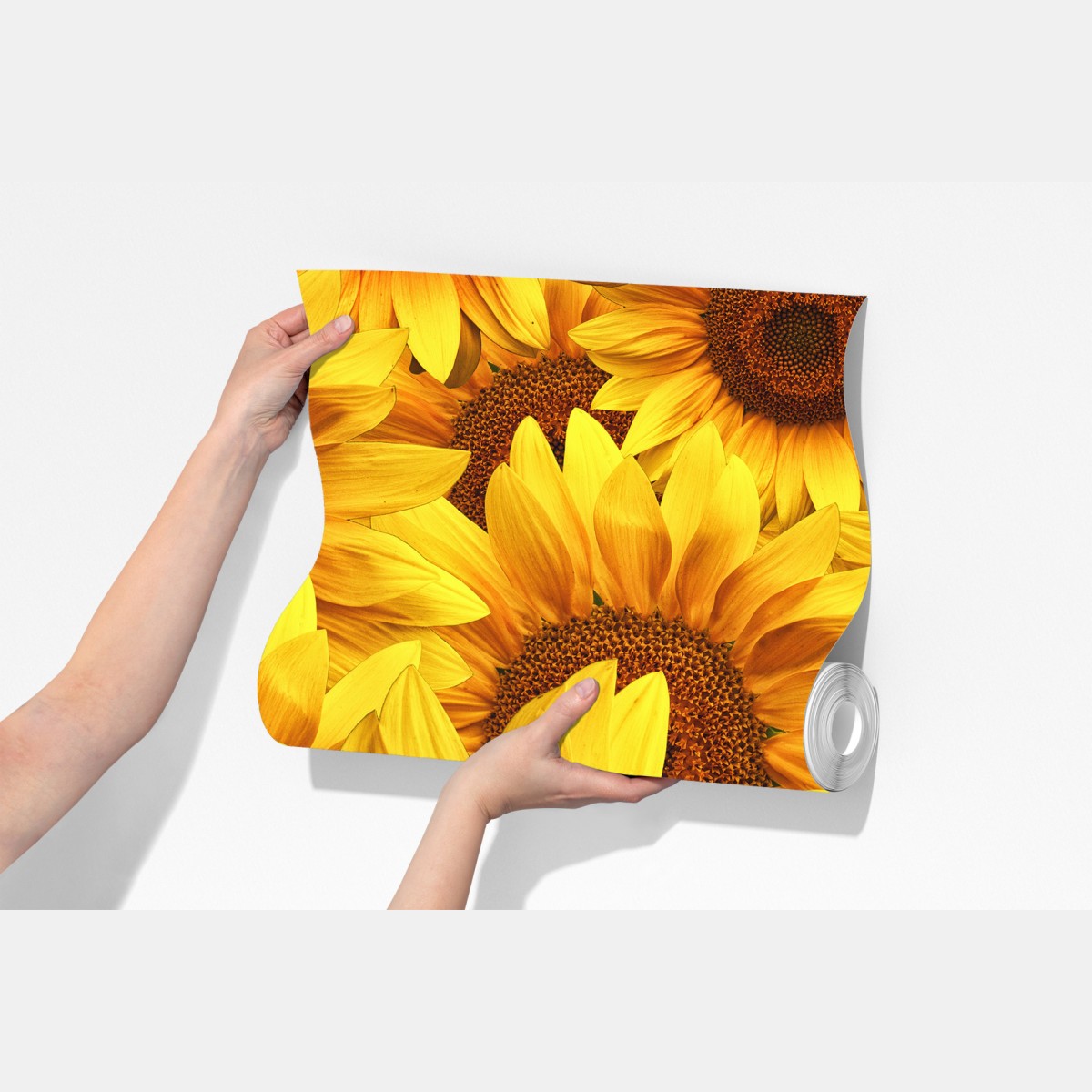 Fototapeta złoty kwiat słonecznika – Wallissimo® Fototapeta złoty kwiat słonecznika – Wallissimo®