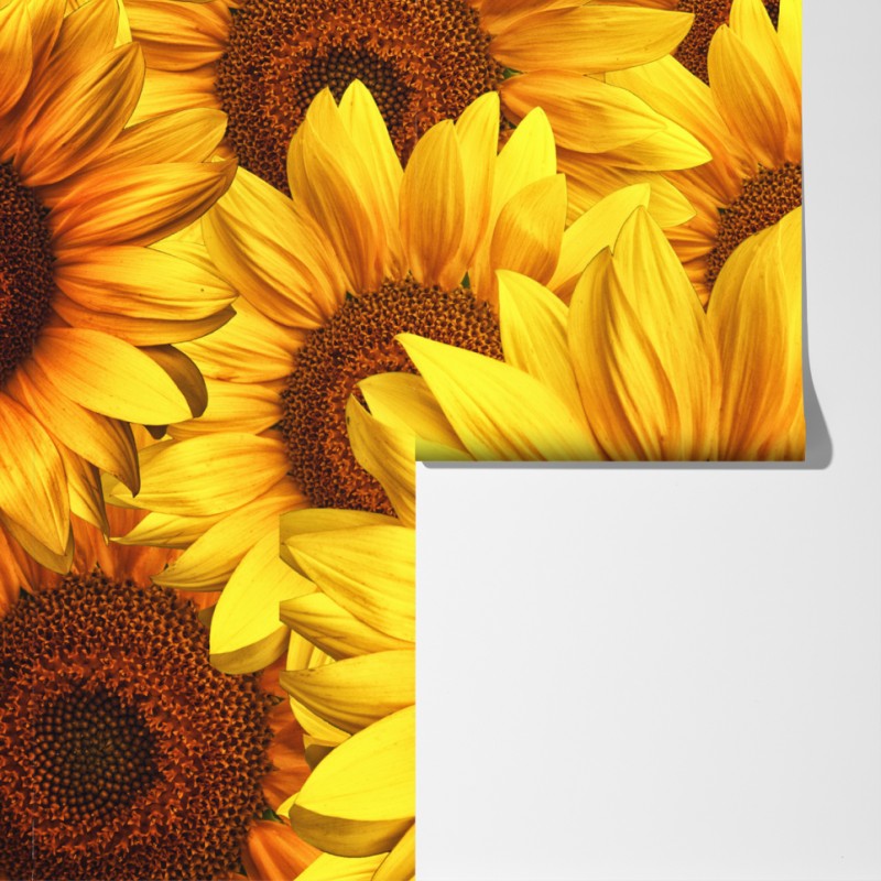 Fototapeta złoty kwiat słonecznika – Wallissimo® Fototapeta złoty kwiat słonecznika – Wallissimo®