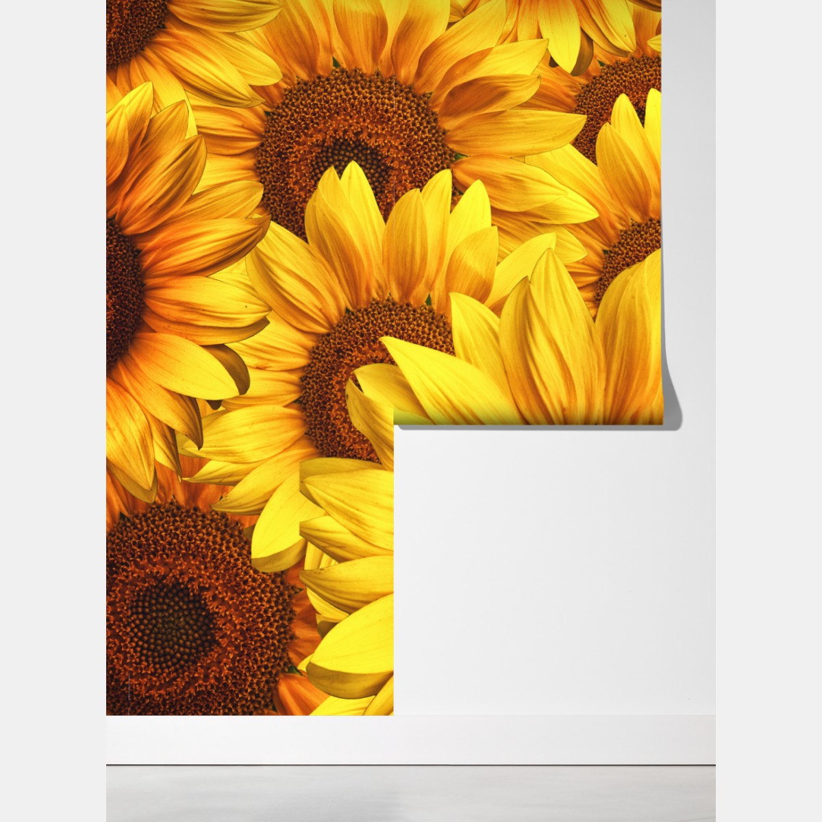 Fototapeta złoty kwiat słonecznika – Wallissimo® Fototapeta złoty kwiat słonecznika – Wallissimo®