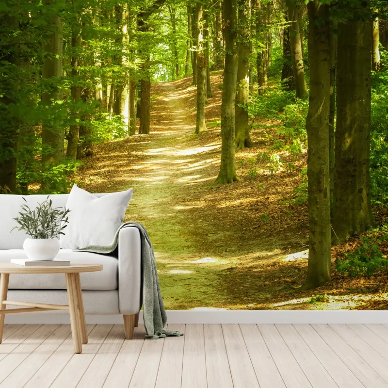 Fototapeta słoneczna leśna ścieżka