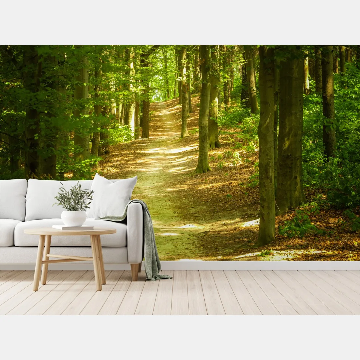 Fototapeta słoneczna leśna ścieżka – Wallissimo® Fototapeta słoneczna leśna ścieżka – Wallissimo®