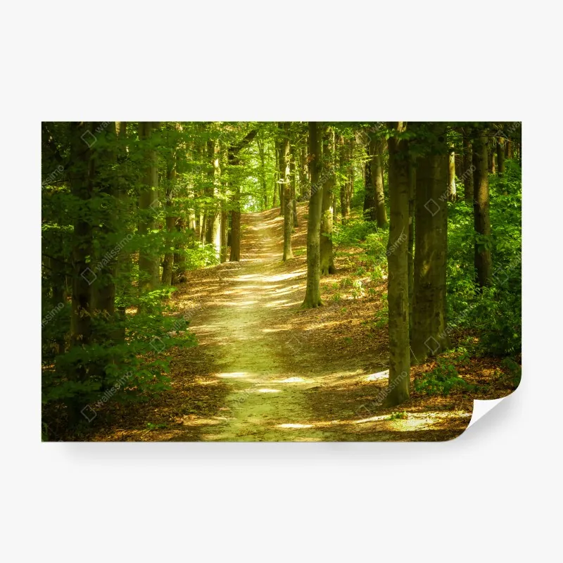 Fototapeta zimowy wschód słońca w Tatrach Wysokich – Wallissimo®