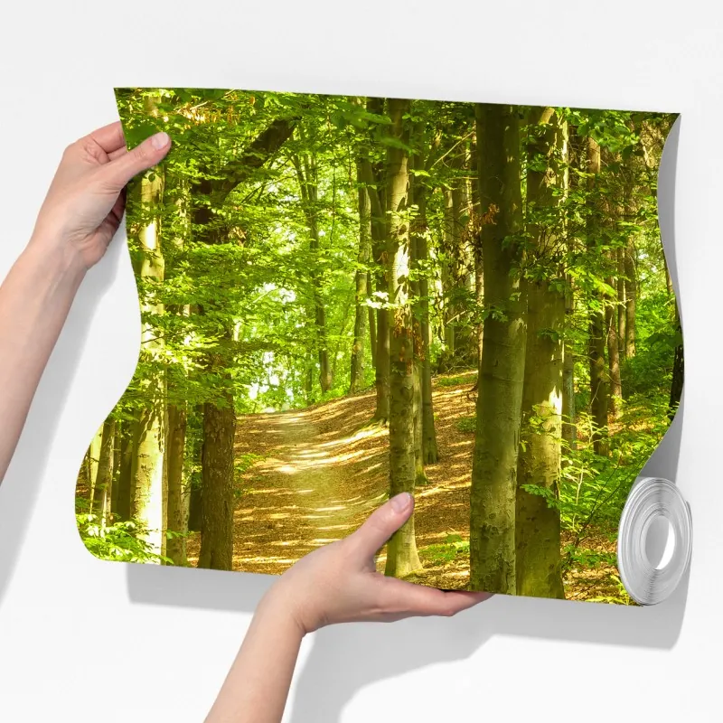 Fototapeta słoneczna leśna ścieżka – Wallissimo® Fototapeta słoneczna leśna ścieżka – Wallissimo®