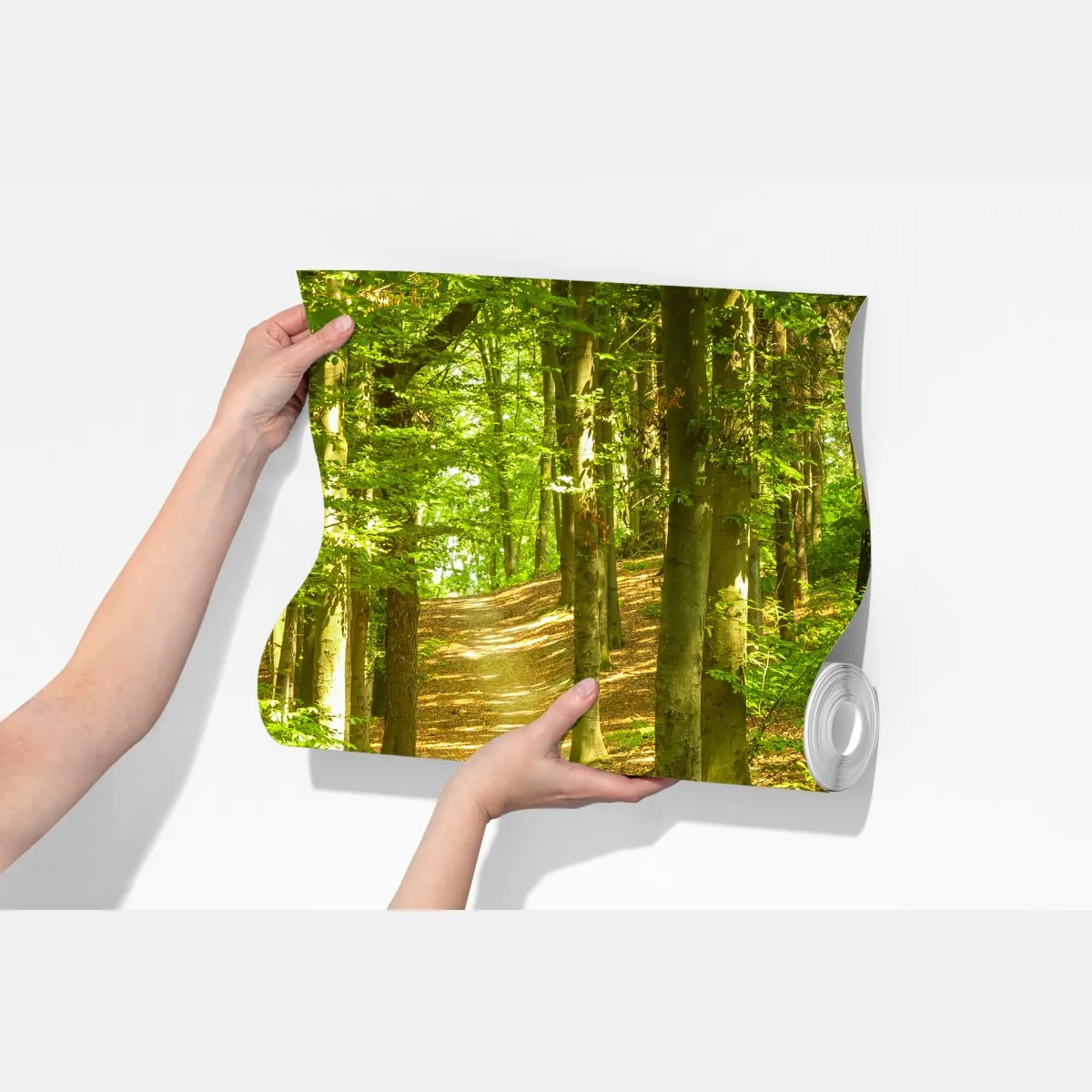 Fototapeta słoneczna leśna ścieżka – Wallissimo® Fototapeta słoneczna leśna ścieżka – Wallissimo®