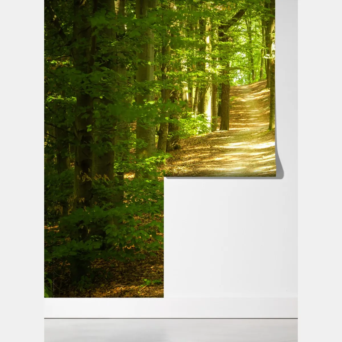 Fototapeta słoneczna leśna ścieżka – Wallissimo® Fototapeta słoneczna leśna ścieżka – Wallissimo®