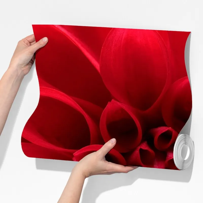 Fototapeta zbliżenie czerwonej dalii – Wallissimo® Fototapeta zbliżenie czerwonej dalii – Wallissimo®