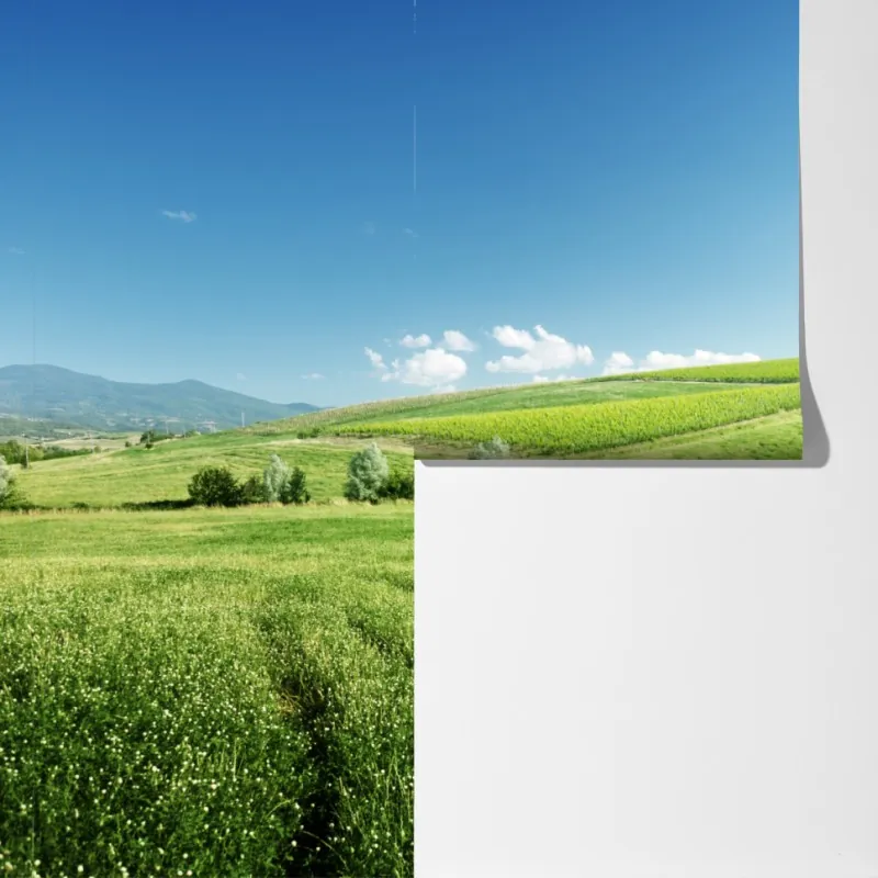 Fototapeta spokojna zielona łąka – Wallissimo® Fototapeta spokojna zielona łąka – Wallissimo®