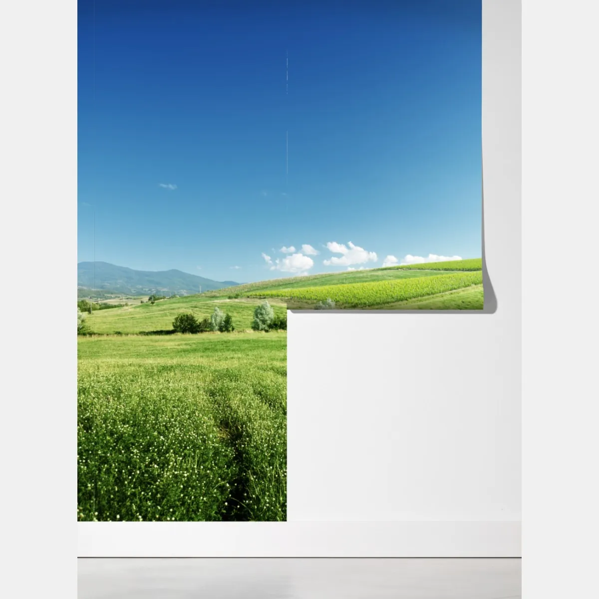 Fototapeta spokojna zielona łąka – Wallissimo® Fototapeta spokojna zielona łąka – Wallissimo®