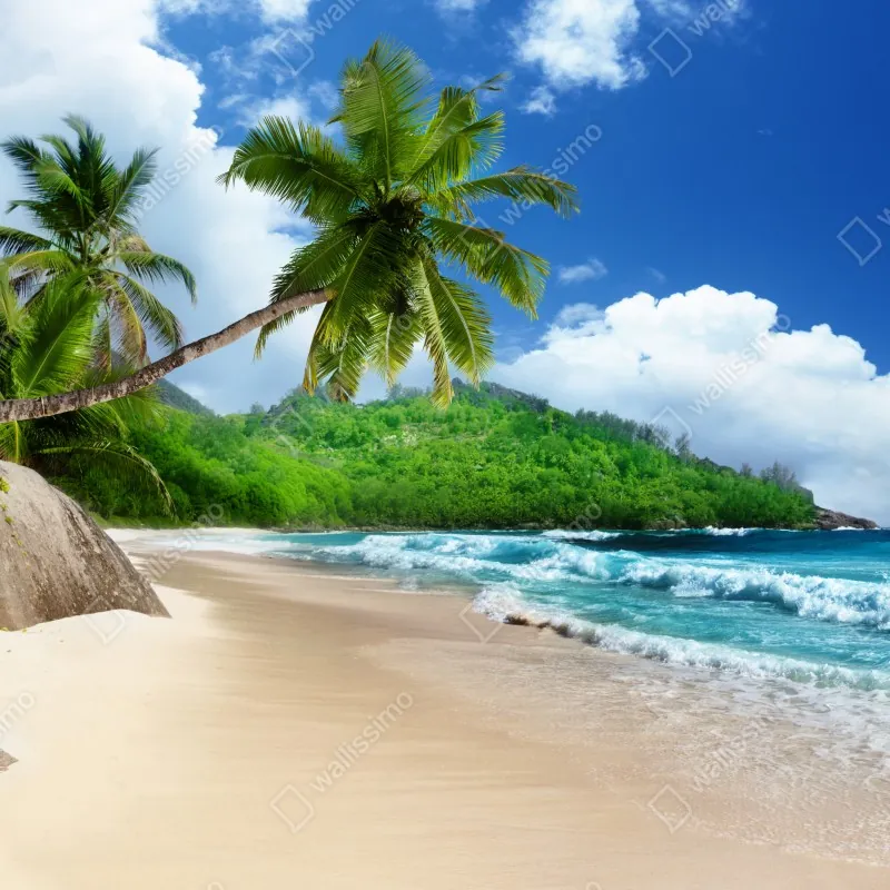 Fototapeta spokojna tropikalna plaża na Mahe, Seszele – Wallissimo® Fototapeta spokojna tropikalna plaża na Mahe, Seszele – Wallissimo®