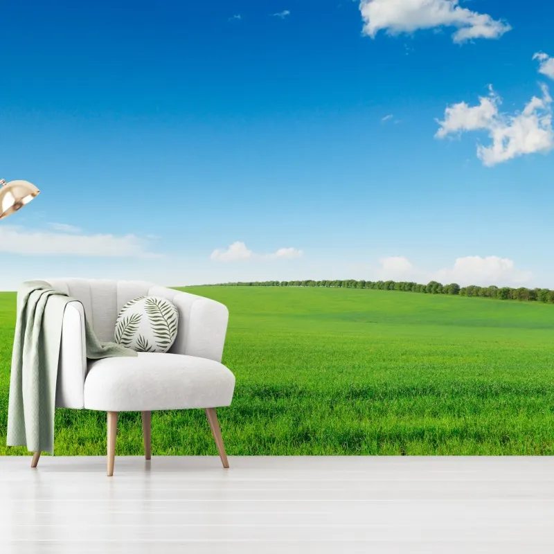 Fototapeta spokojna zielona łąka pod niebieskim niebem