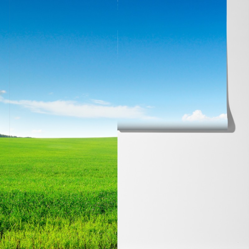 Fototapeta spokojna zielona łąka pod niebieskim niebem – Wallissimo® Fototapeta spokojna zielona łąka pod niebieskim niebem – Wallissimo®