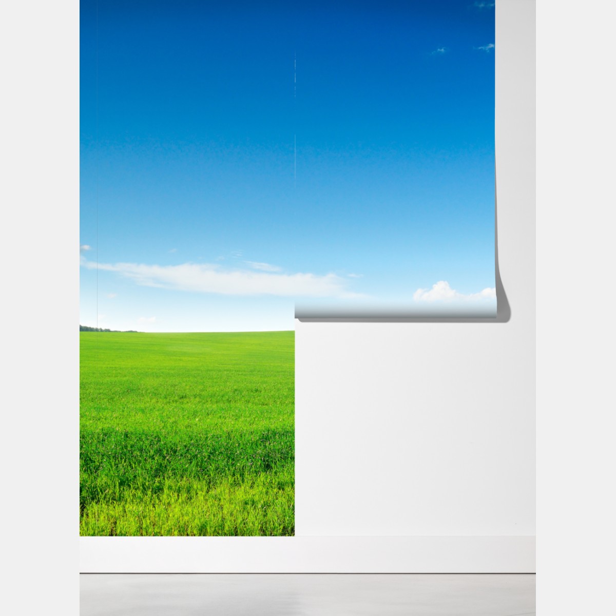 Fototapeta spokojna zielona łąka pod niebieskim niebem – Wallissimo® Fototapeta spokojna zielona łąka pod niebieskim niebem – Wallissimo®