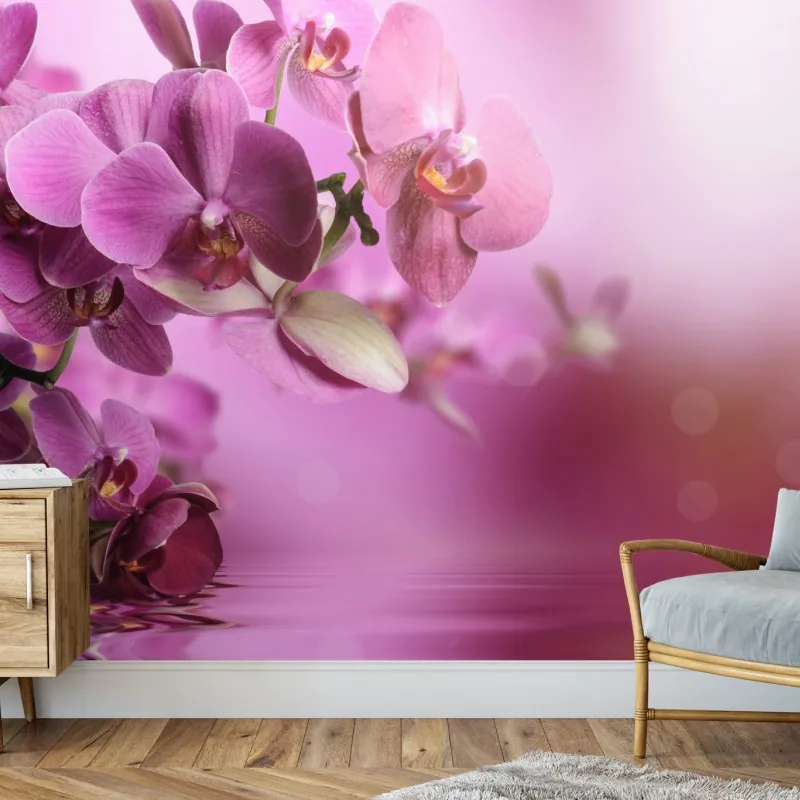 Fototapeta różowe orchidee z odbiciem