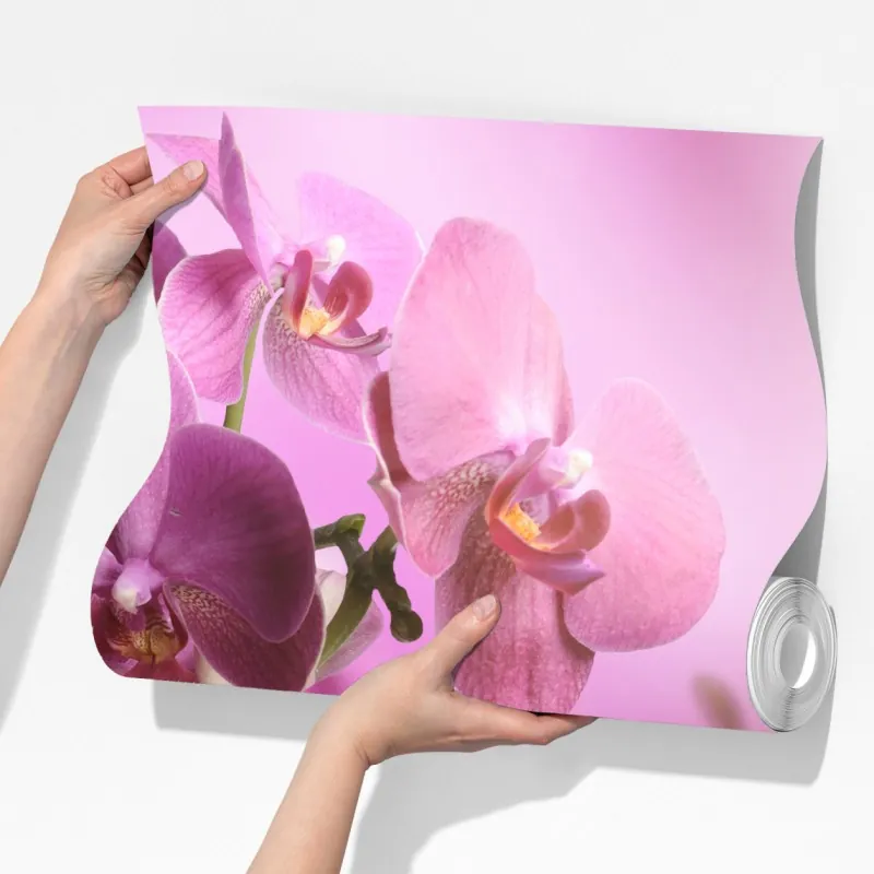 Fototapeta różowe orchidee z odbiciem – Wallissimo® Fototapeta różowe orchidee z odbiciem – Wallissimo®