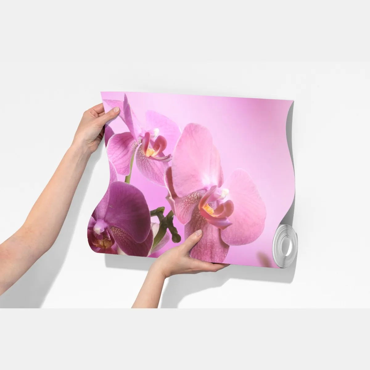 Fototapeta różowe orchidee z odbiciem – Wallissimo® Fototapeta różowe orchidee z odbiciem – Wallissimo®