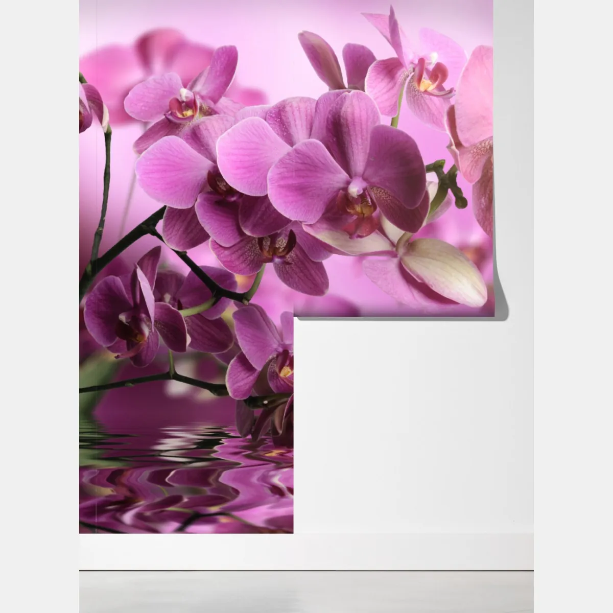 Fototapeta różowe orchidee z odbiciem – Wallissimo® Fototapeta różowe orchidee z odbiciem – Wallissimo®