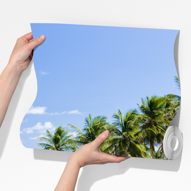 Fototapeta Bottom Bay plaża z palmami, Barbados – Wallissimo® Fototapeta Bottom Bay plaża z palmami, Barbados – Wallissimo®