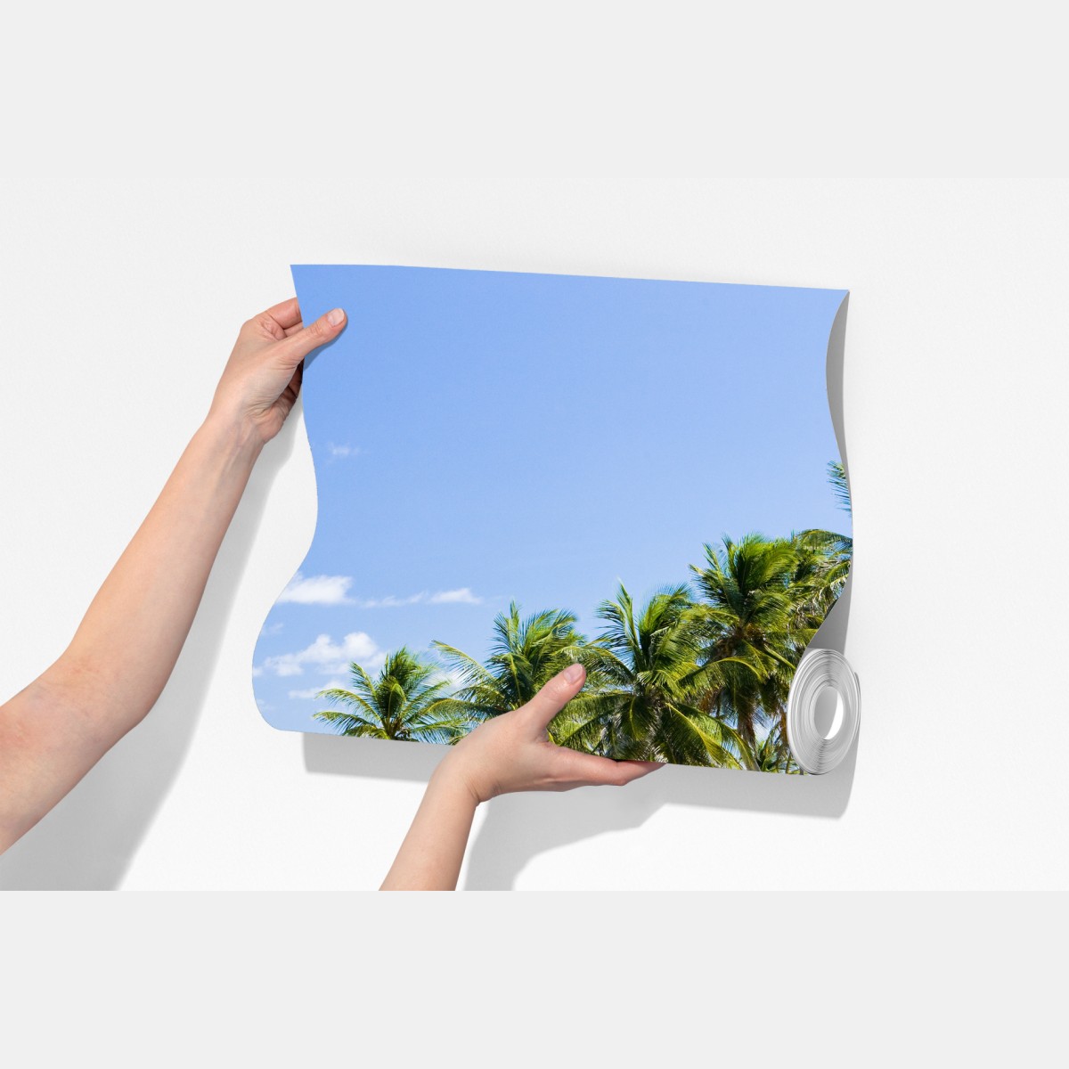 Fototapeta Bottom Bay plaża z palmami, Barbados – Wallissimo® Fototapeta Bottom Bay plaża z palmami, Barbados – Wallissimo®