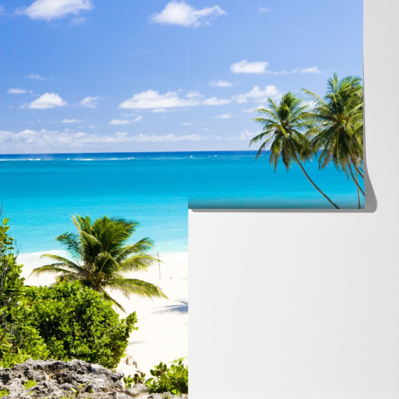 Fototapeta Bottom Bay plaża z palmami, Barbados – Wallissimo® Fototapeta Bottom Bay plaża z palmami, Barbados – Wallissimo®