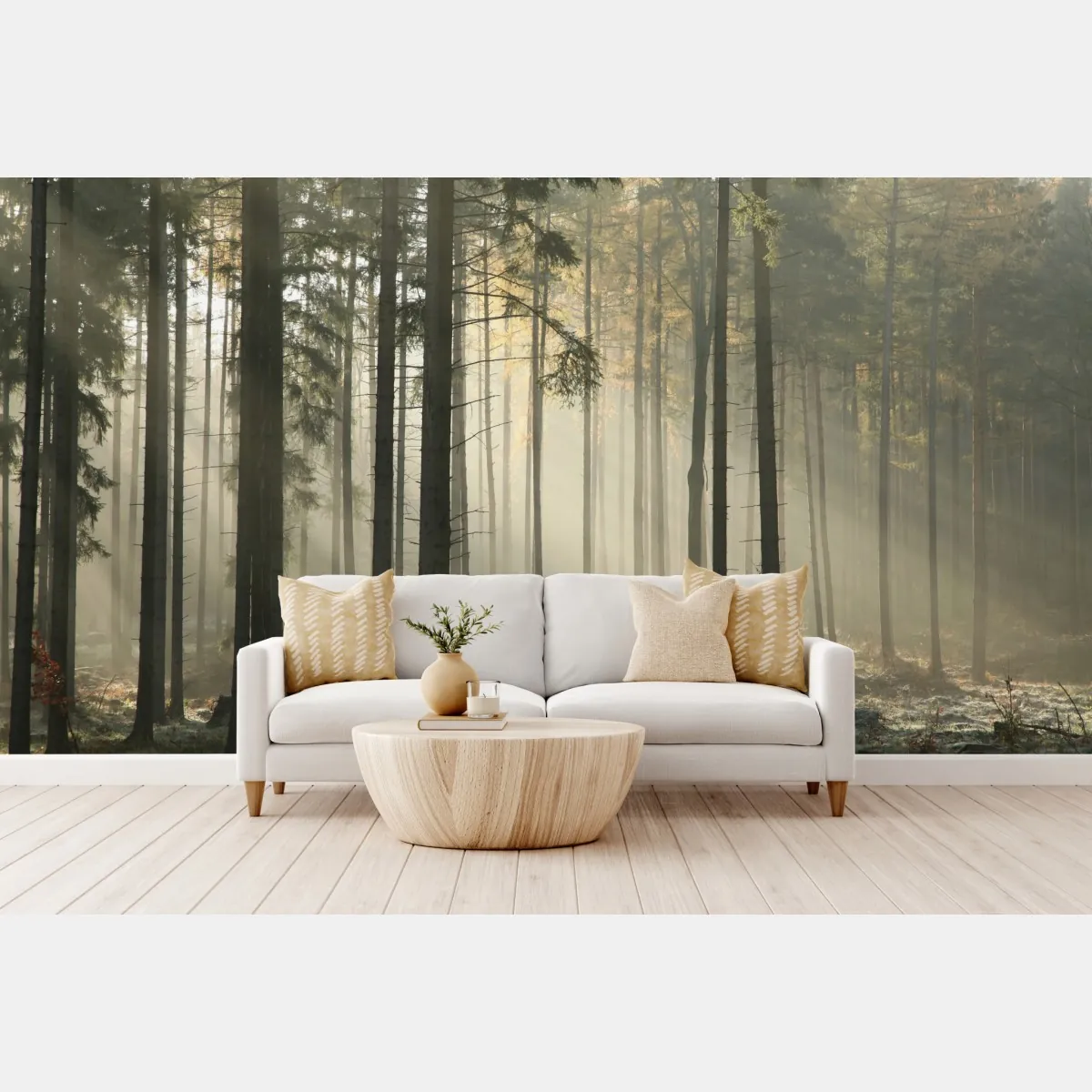 Fototapeta mglisty poranek w lesie z promieniami słońca – Wallissimo® Fototapeta mglisty poranek w lesie z promieniami słońca – Wallissimo®