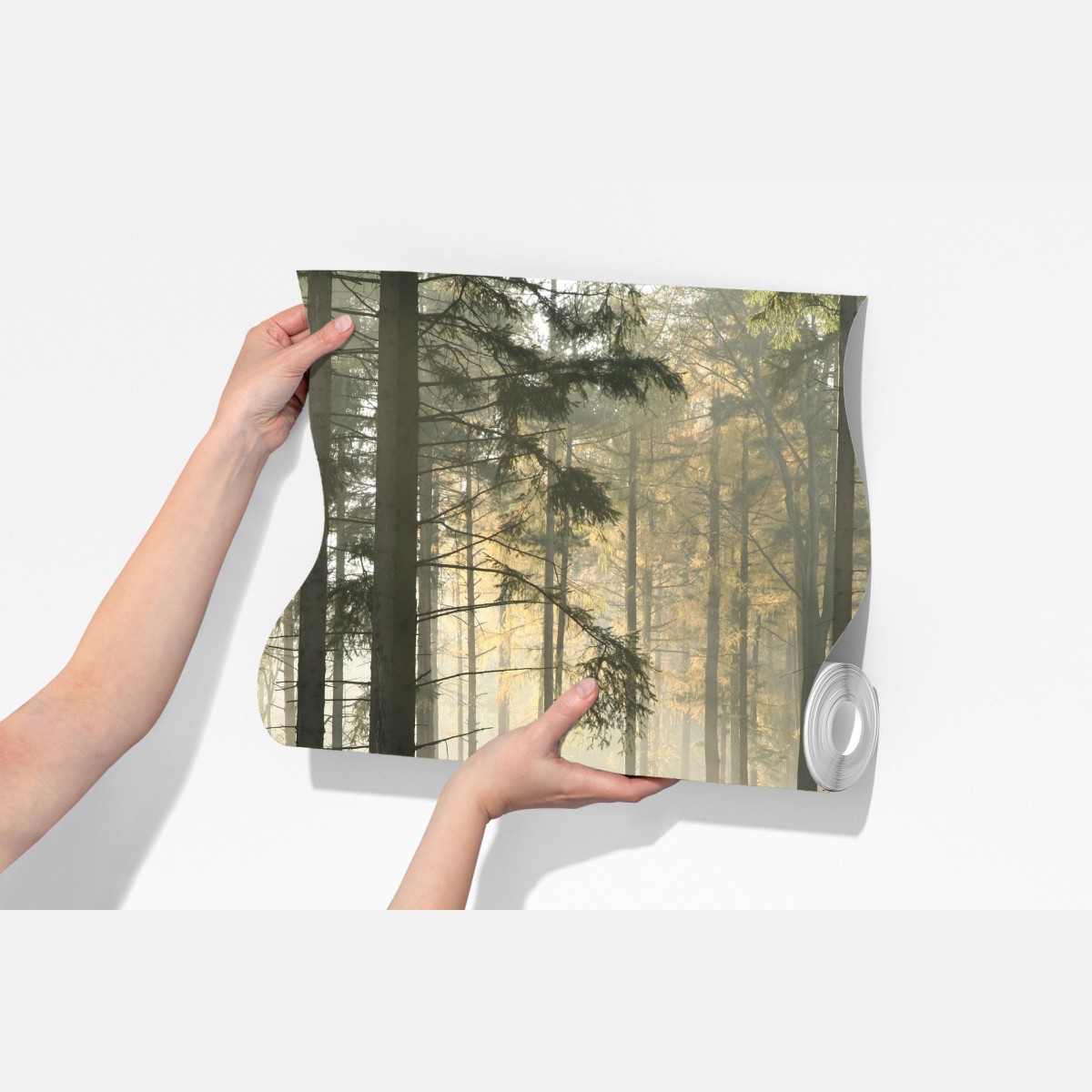 Fototapeta mglisty poranek w lesie z promieniami słońca – Wallissimo® Fototapeta mglisty poranek w lesie z promieniami słońca – Wallissimo®