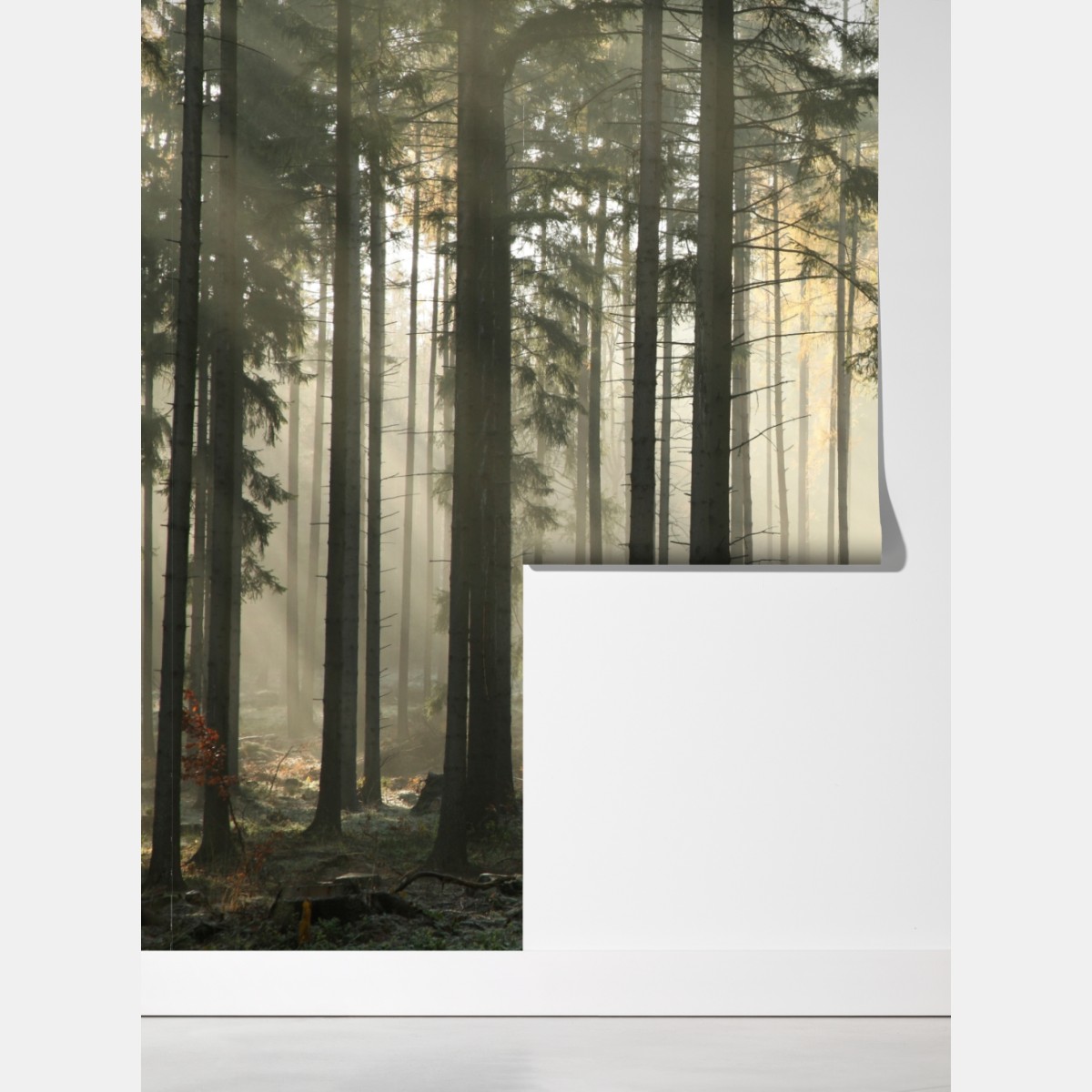 Fototapeta mglisty poranek w lesie z promieniami słońca – Wallissimo® Fototapeta mglisty poranek w lesie z promieniami słońca – Wallissimo®