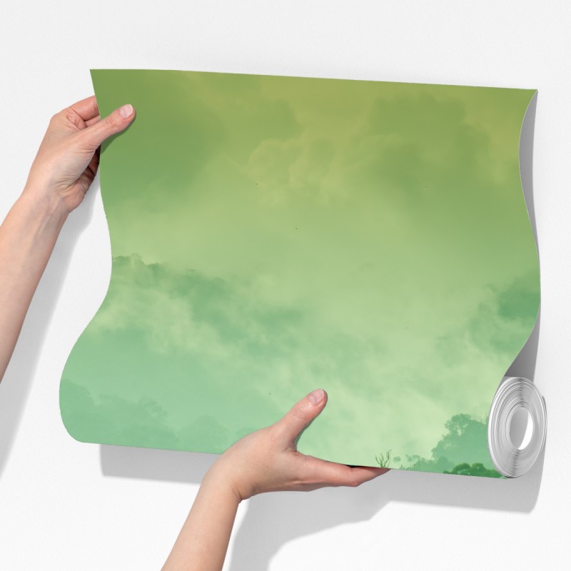 Fototapeta mglista tropikalna dżungla – Wallissimo® Fototapeta mglista tropikalna dżungla – Wallissimo®