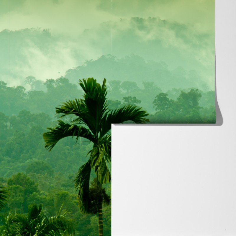 Fototapeta mglista tropikalna dżungla – Wallissimo® Fototapeta mglista tropikalna dżungla – Wallissimo®