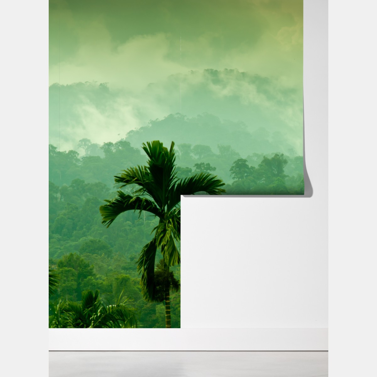 Fototapeta mglista tropikalna dżungla – Wallissimo® Fototapeta mglista tropikalna dżungla – Wallissimo®