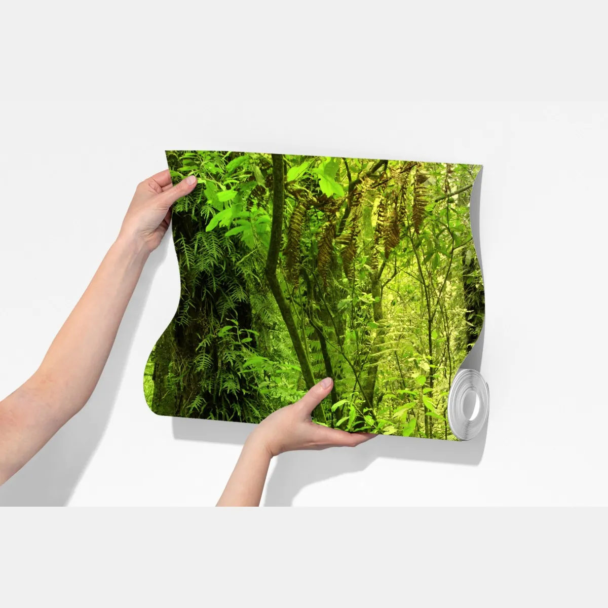 Fototapeta bujna tropikalna dżungla – Wallissimo® Fototapeta bujna tropikalna dżungla – Wallissimo®