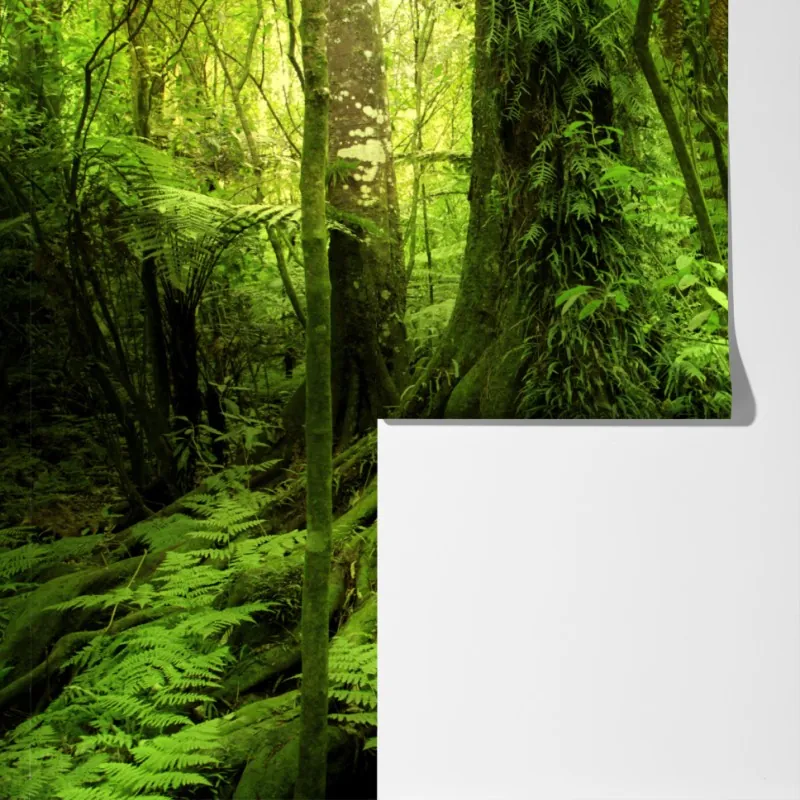 Fototapeta bujna tropikalna dżungla – Wallissimo® Fototapeta bujna tropikalna dżungla – Wallissimo®