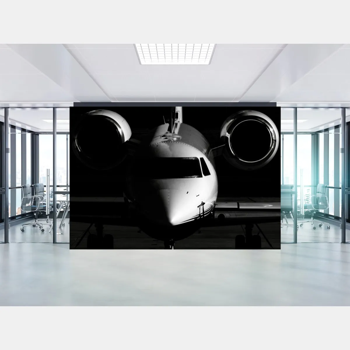 Fototapeta monochromatyczny przód prywatnego odrzutowca – Wallissimo® Fototapeta monochromatyczny przód prywatnego odrzutowca – Wallissimo®