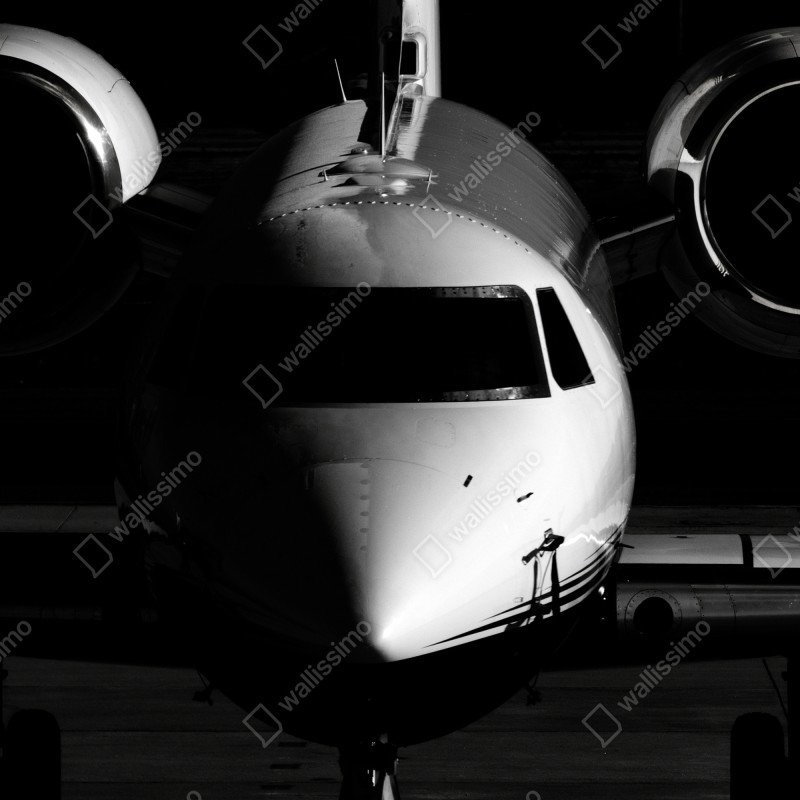 Fototapeta monochromatyczny przód prywatnego odrzutowca – Wallissimo® Fototapeta monochromatyczny przód prywatnego odrzutowca – Wallissimo®