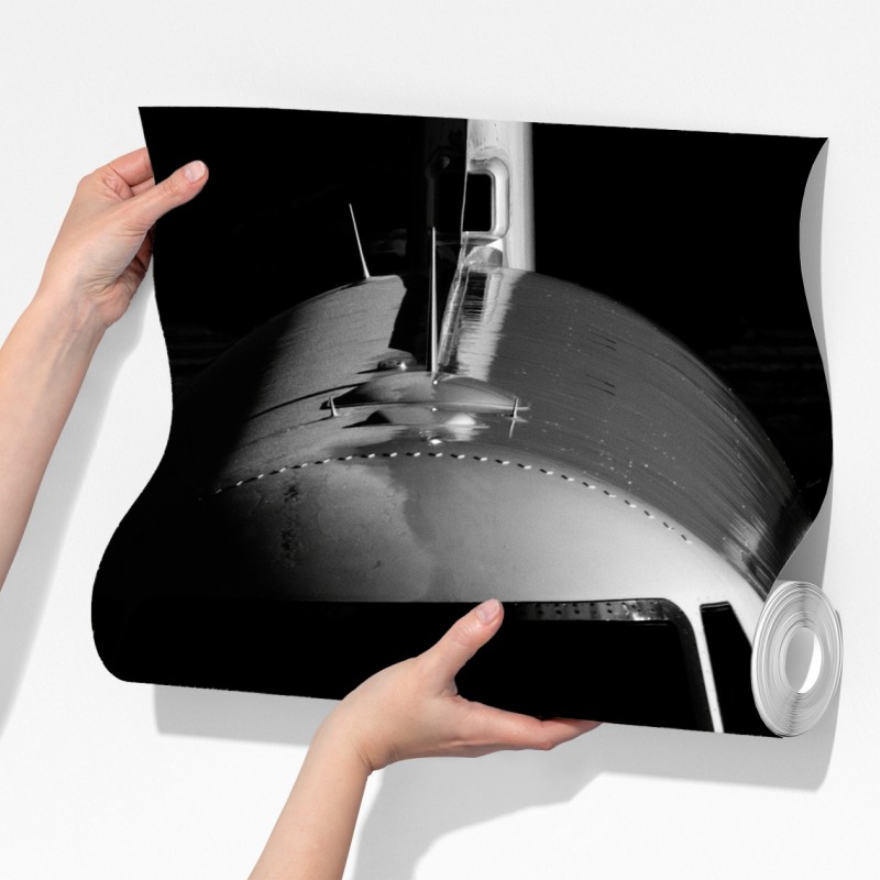 Fototapeta monochromatyczny przód prywatnego odrzutowca – Wallissimo® Fototapeta monochromatyczny przód prywatnego odrzutowca – Wallissimo®