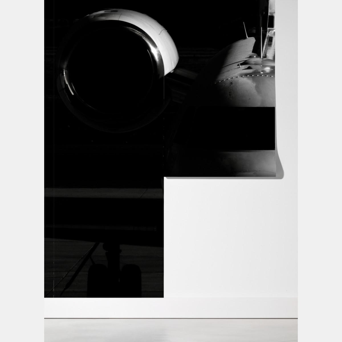 Fototapeta monochromatyczny przód prywatnego odrzutowca – Wallissimo® Fototapeta monochromatyczny przód prywatnego odrzutowca – Wallissimo®