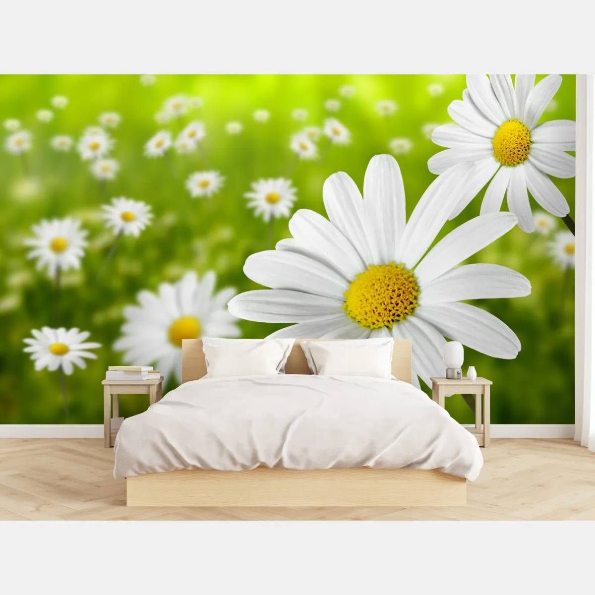 Fototapeta białe stokrotki na łące – Wallissimo® Fototapeta białe stokrotki na łące – Wallissimo®